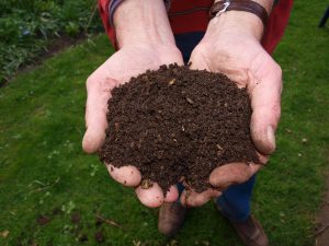 DIY Potting Soil Recipes for Growing Outdoors